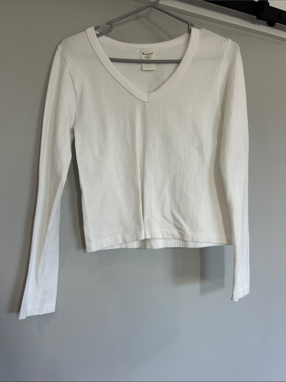 No Boundaries Seamless V-Neck Top with Long Sleeves